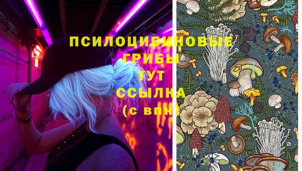 mix Баксан
